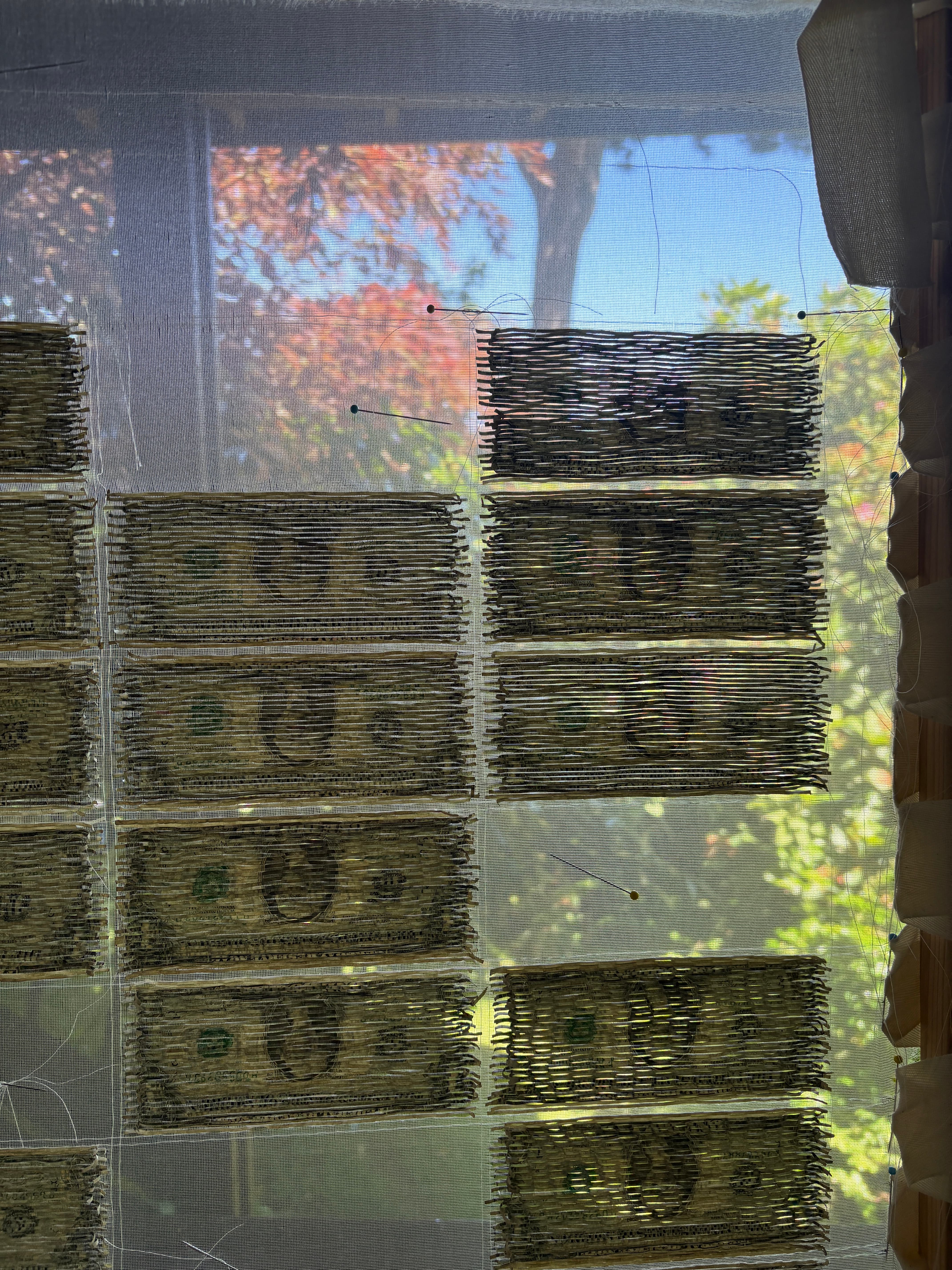 Reconstructed bills positioned on translucent mesh during assembly.