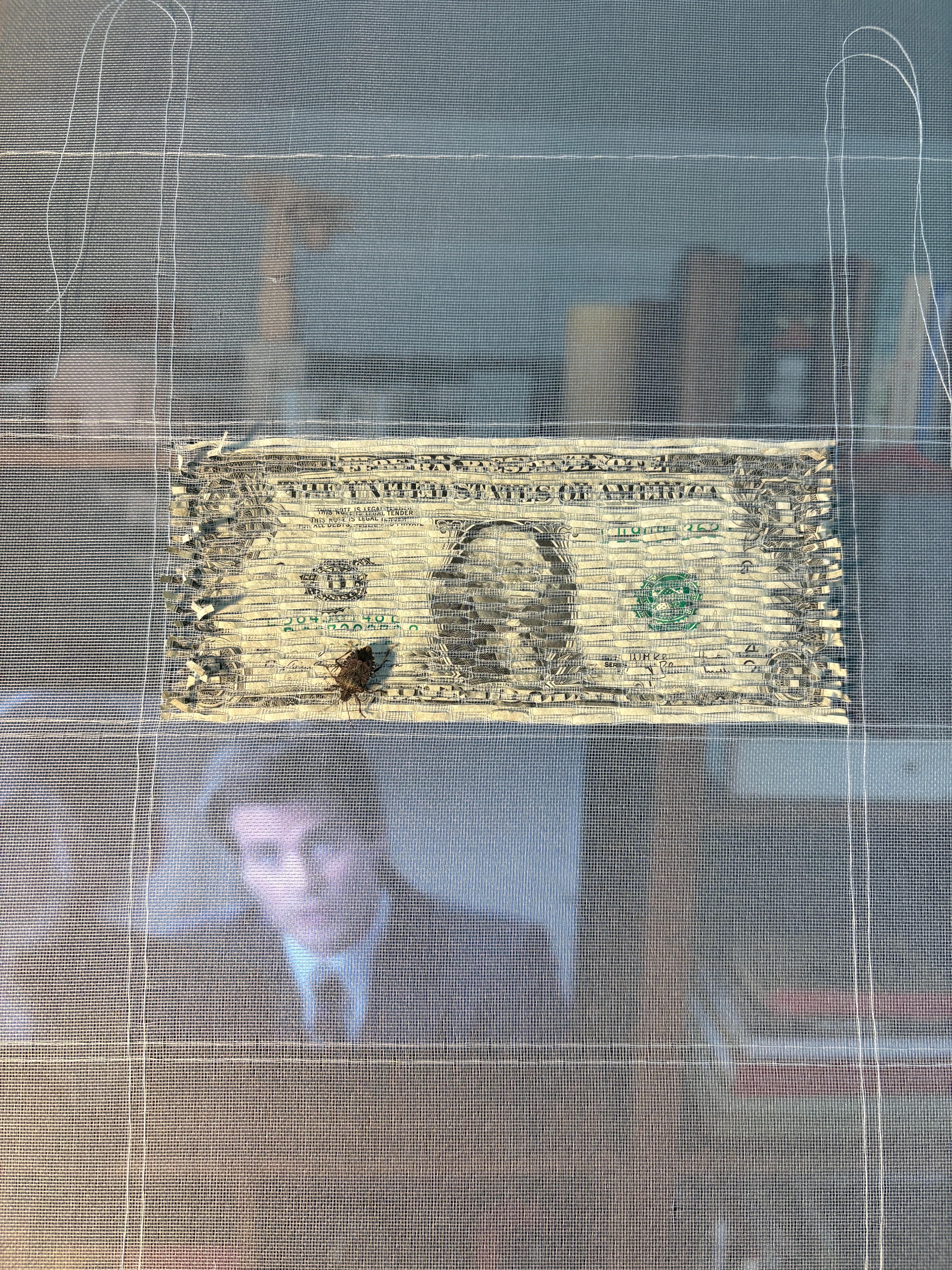 Partially reconstructed currency on mesh with an insect resting on the surface.