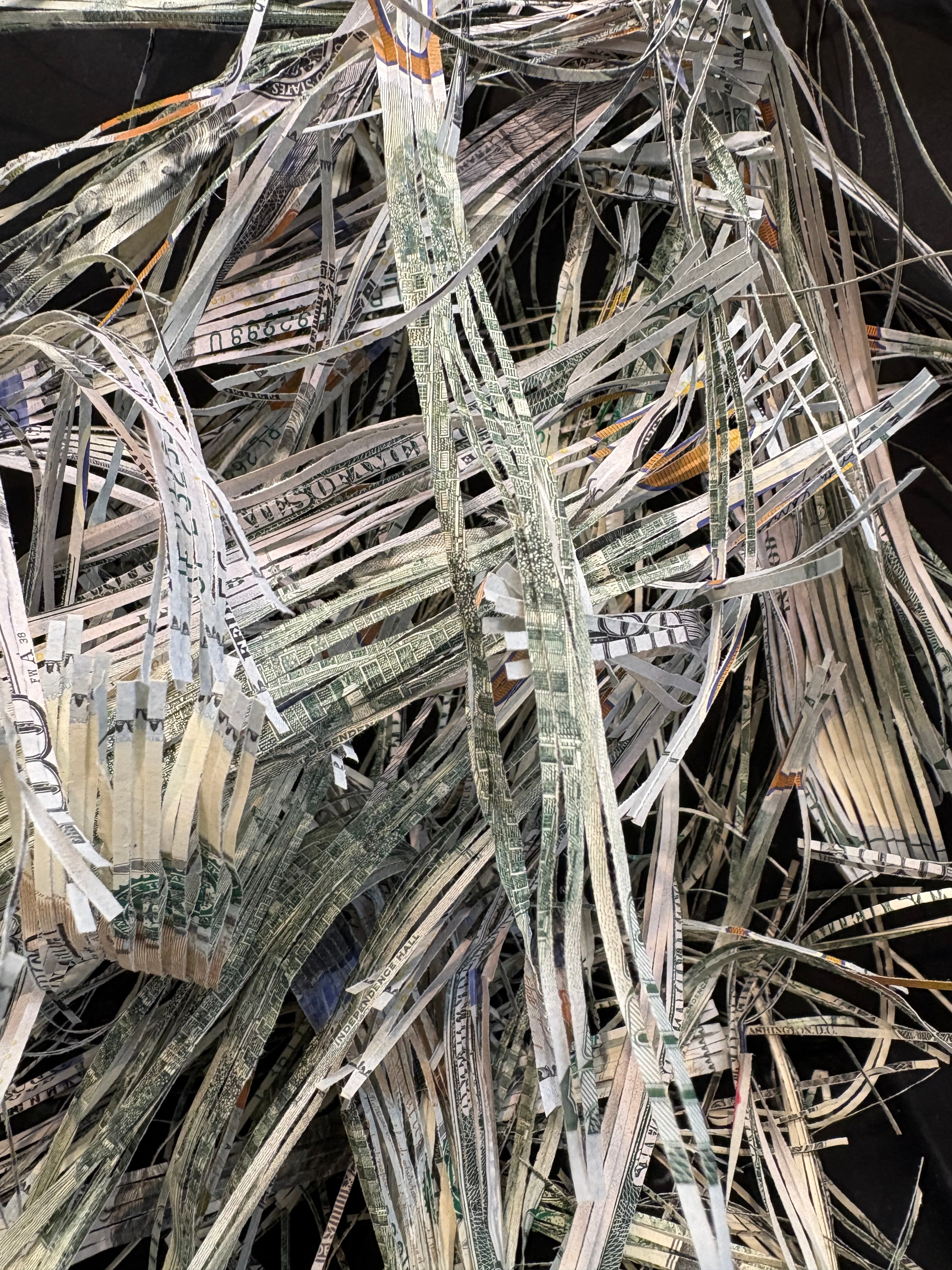 Close-up of shredded strips of United States currency.